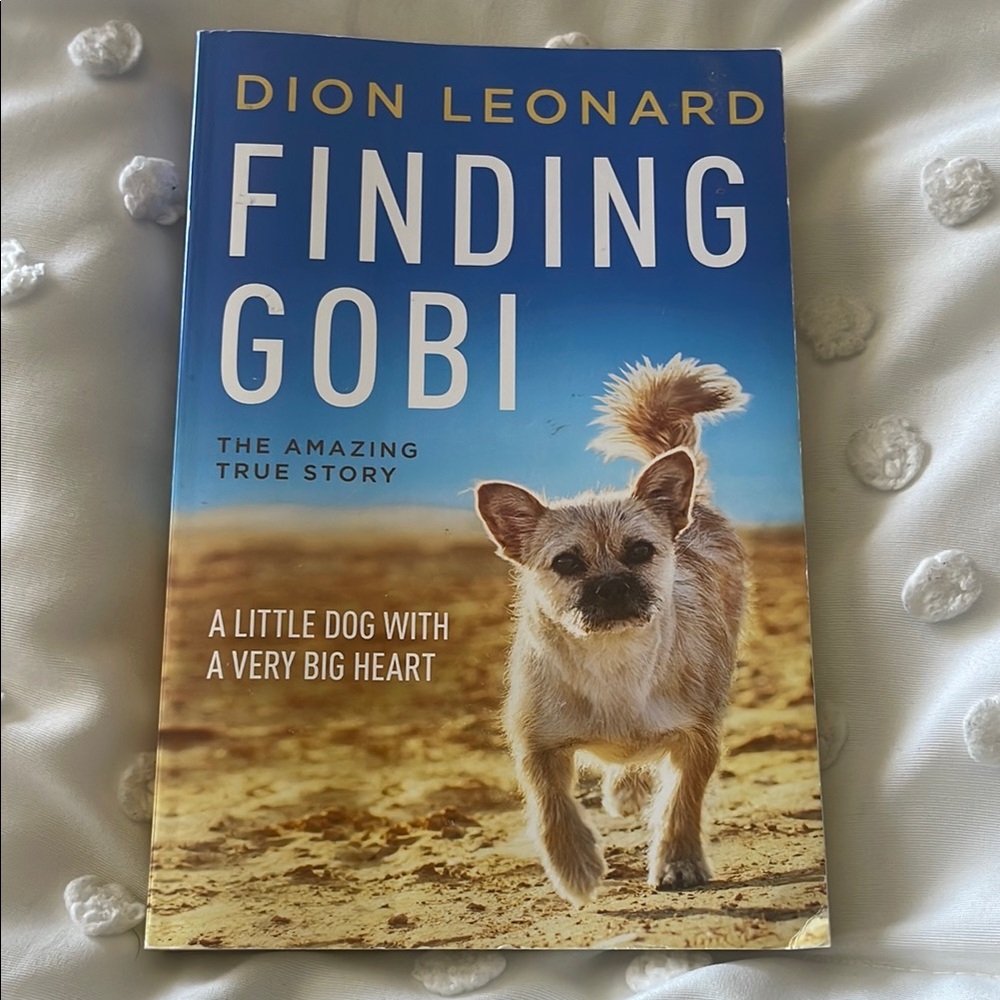 Finding Gobi Book